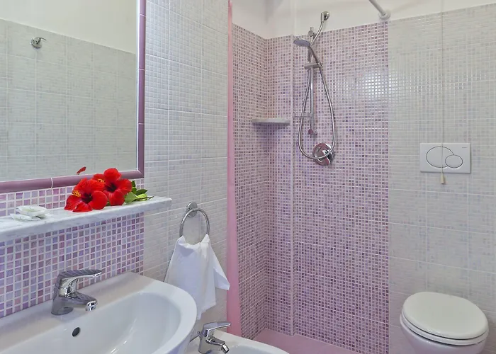 Hotel D'orta 3*