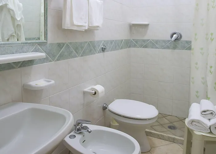 Hotel D'orta 3*